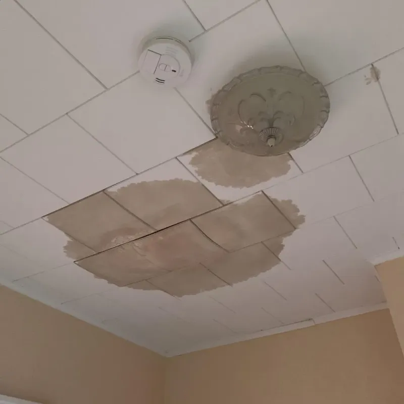 Ceiling Water Damage Repair in Lubbock, TX