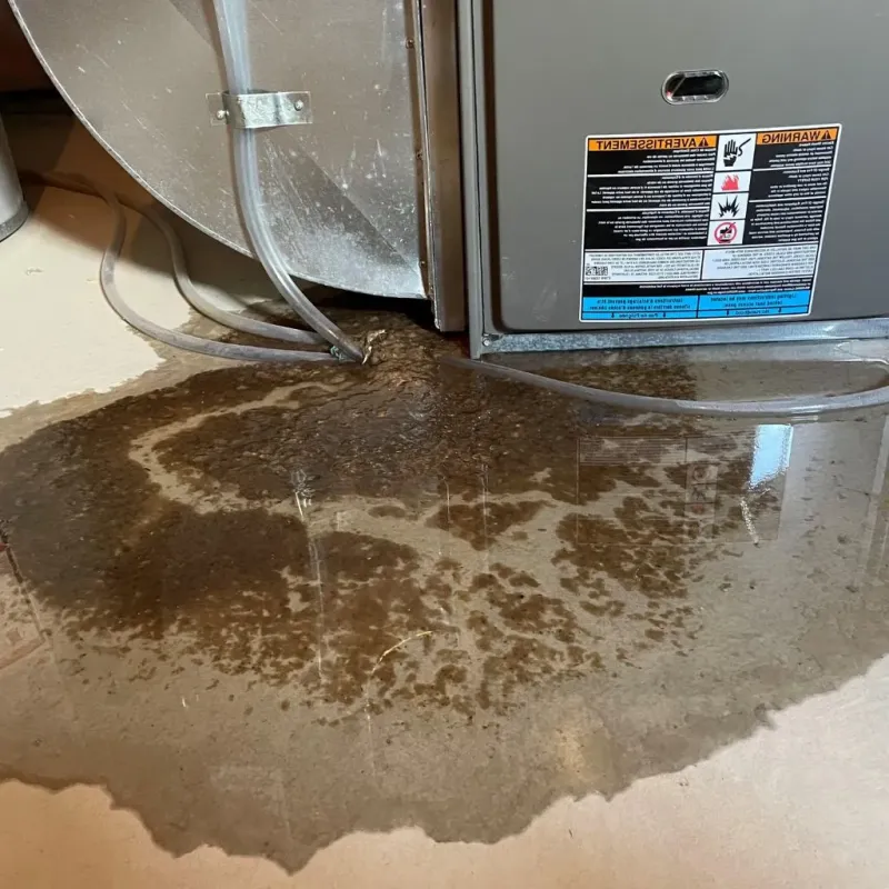 Pipe Burst and Leak Restoration in Lubbock, TX